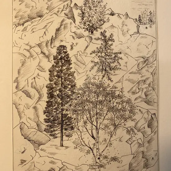 Rita Angus (1908-70) 'Central Otago landscape',